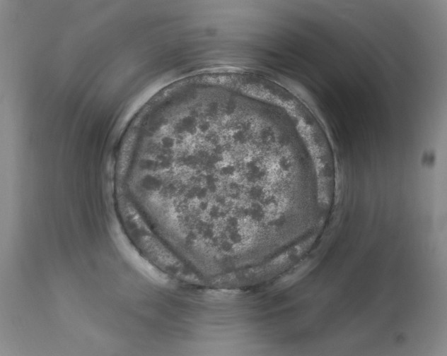 X0000113960859200910232027