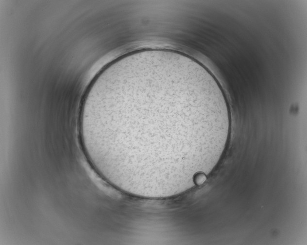 X0000113960861200910232027