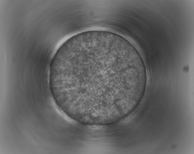 X0000113960862200910232027