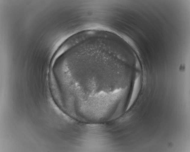 X0000113960863200910232027