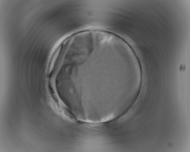 X0000113960864200910232027