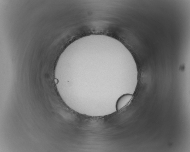 X0000113960865200910232026