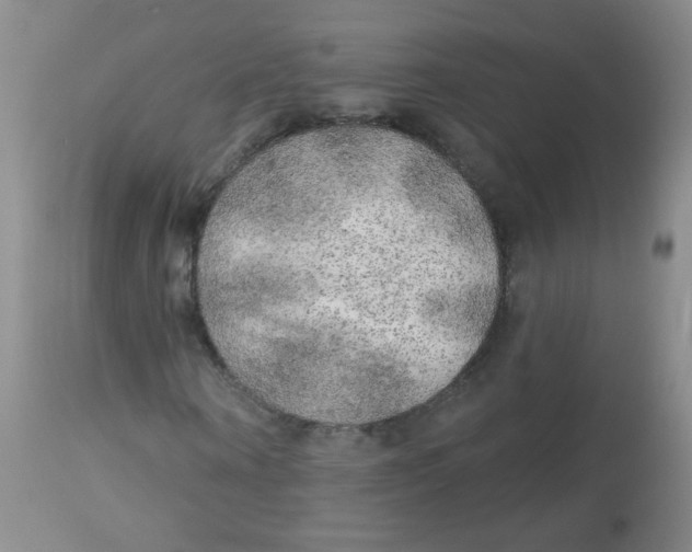 X0000113960866200910232026