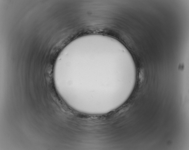 X0000113960867200910232026