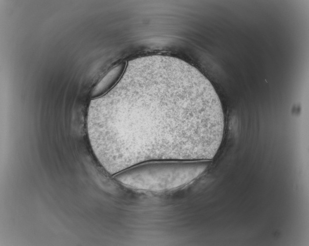 X0000113960868200910232026