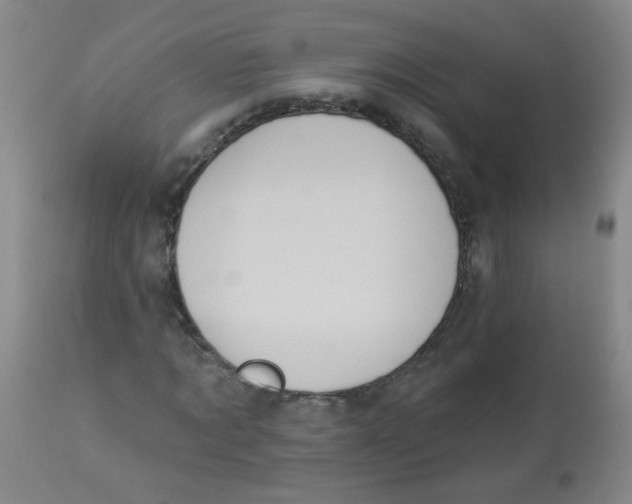 X0000113960869200910232026