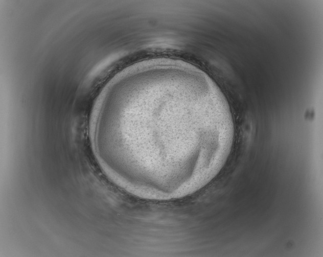 X0000113960870200910232026