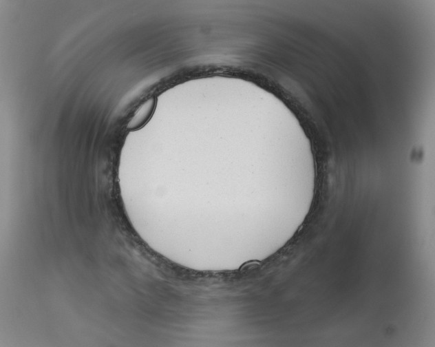 X0000113960872200910232026