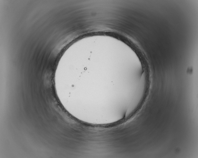 X0000113960873200910232026