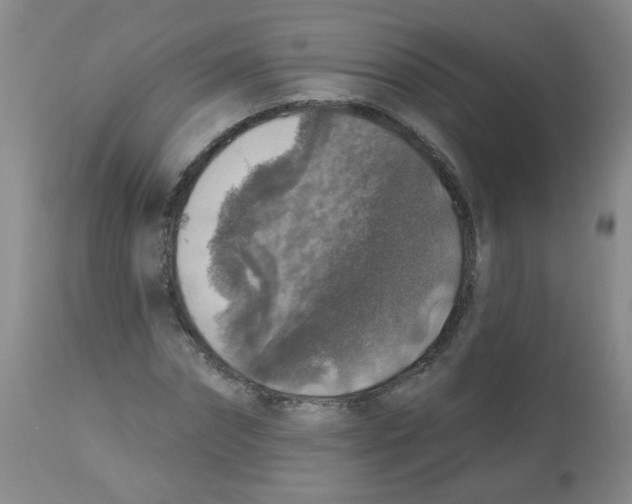 X0000113960874200910232026