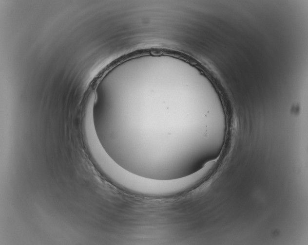 X0000113960877200910232026