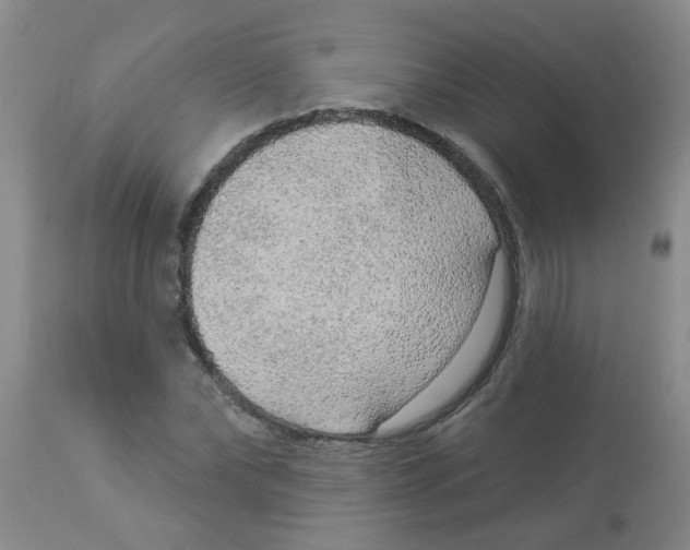 X0000113960878200910232026