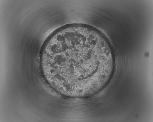 X0000113960879200910232026