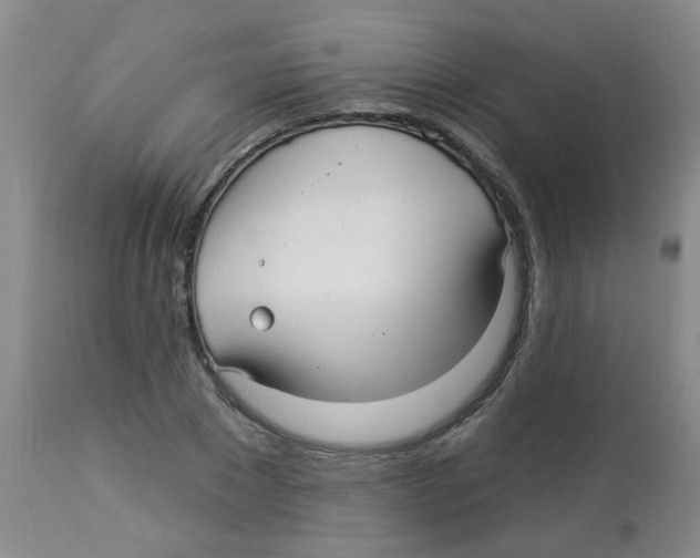 X0000113960881200910232026