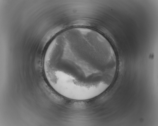 X0000113960882200910232026