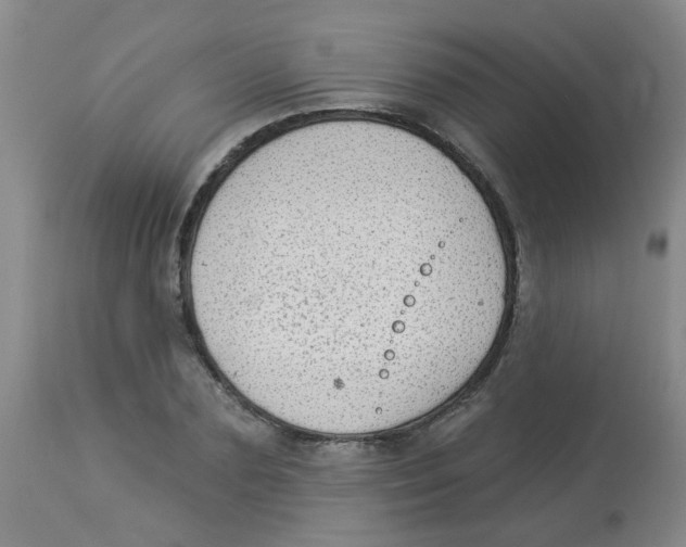 X0000113960883200910232026