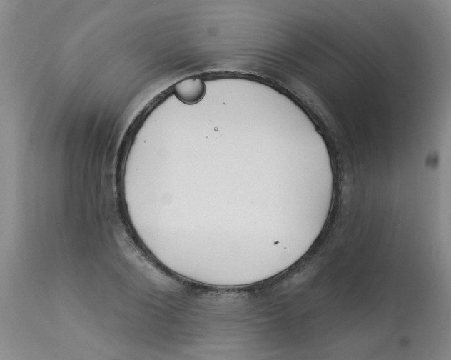 X0000113960884200910232026