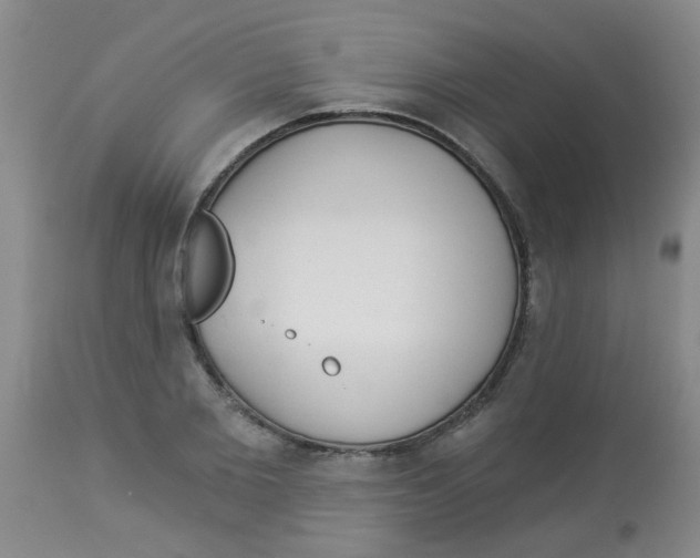 X0000113960885200910232026