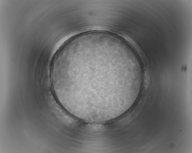 X0000113960886200910232026