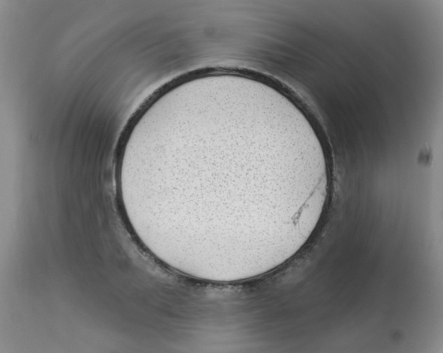 X0000113960887200910232026