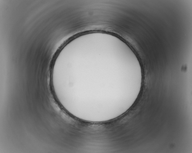 X0000113960888200910232026