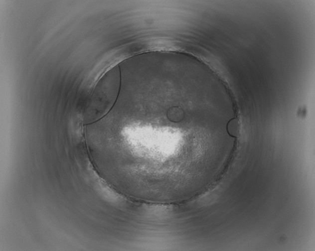 X0000113960889200910232026