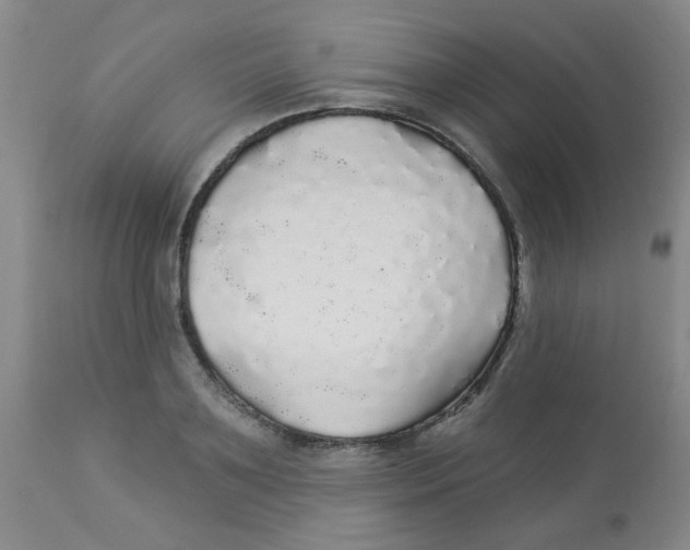 X0000113960891200910232026