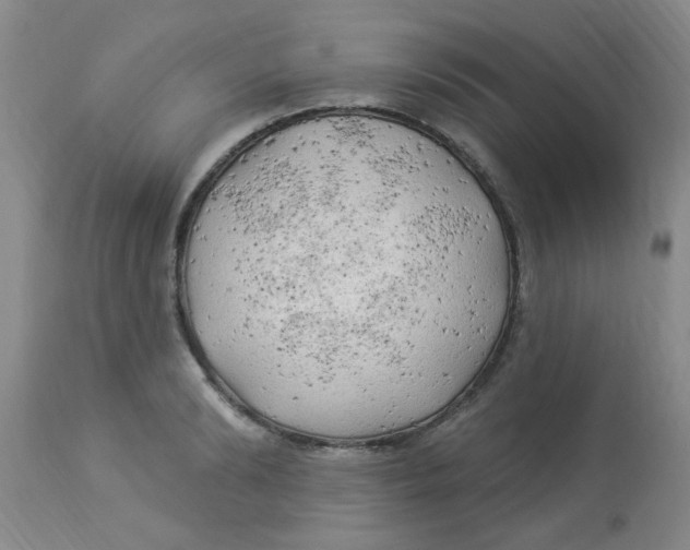 X0000113960894200910232026