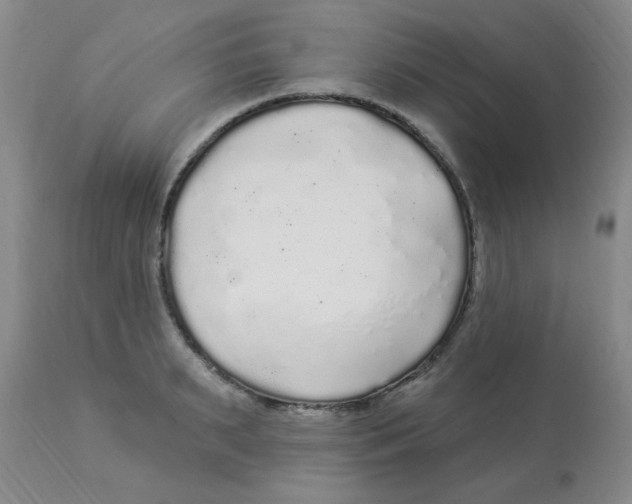 X0000113960895200910232026