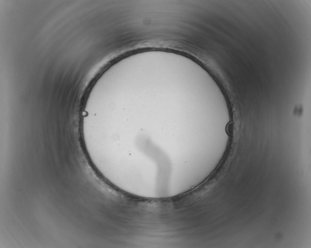 X0000113960896200910232026