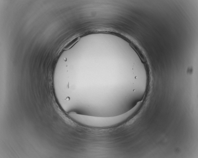 X0000113960897200910232026