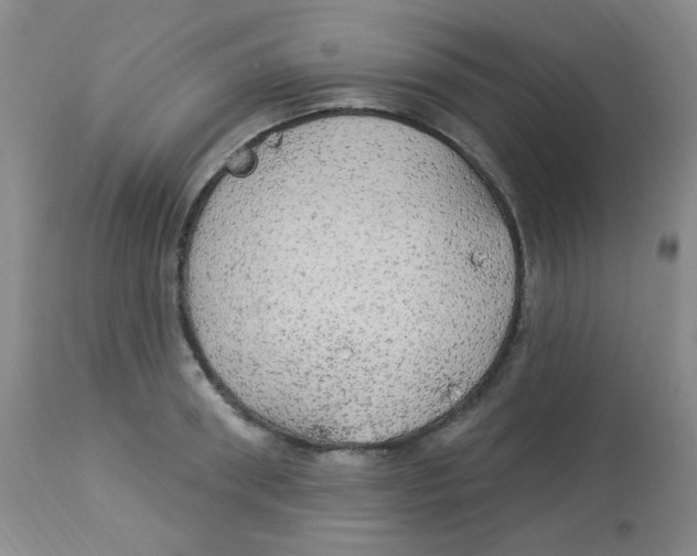 X0000113960898200910232026