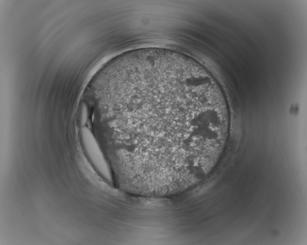 X0000113960899200910232026