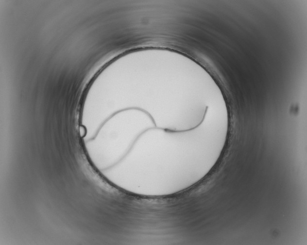 X0000113960900200910232026