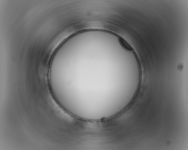 X0000113960901200910232026