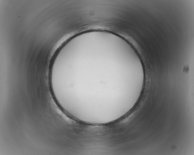 X0000113960902200910232026