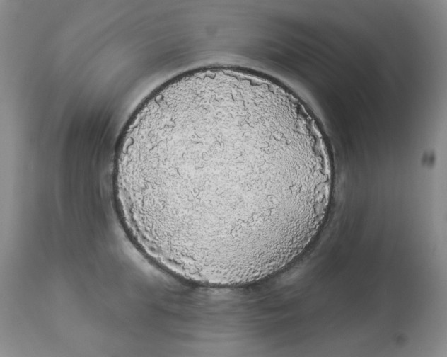 X0000113960903200910232026