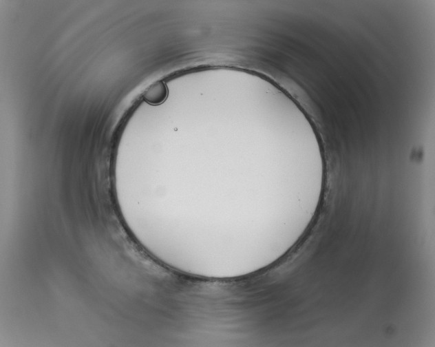 X0000113960904200910232026