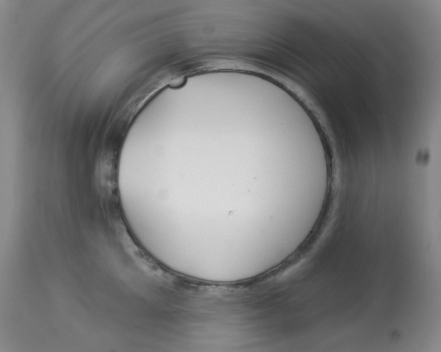 X0000113960905200910232026