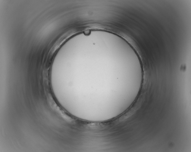 X0000113960906200910232026