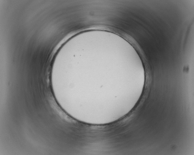 X0000113960908200910232026