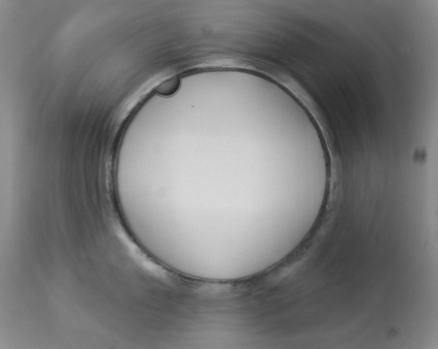 X0000113960909200910232026