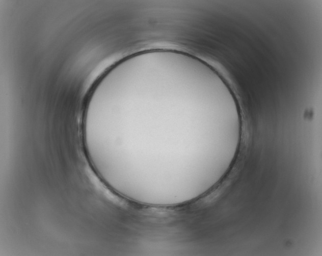 X0000113960910200910232026