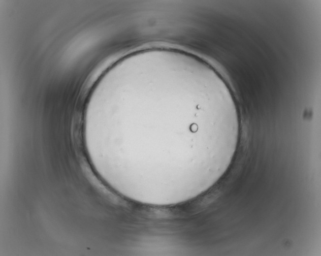 X0000113960911200910232026