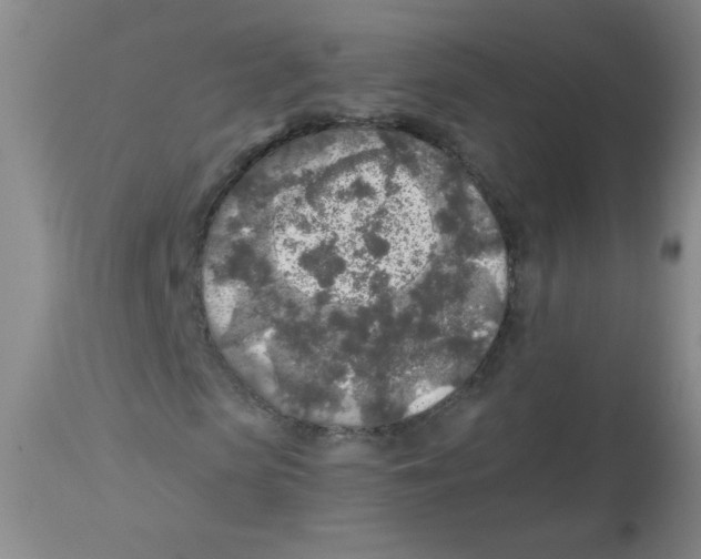 X0000113960913200910232025