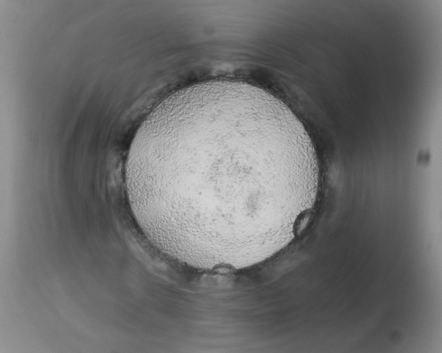 X0000113960914200910232025