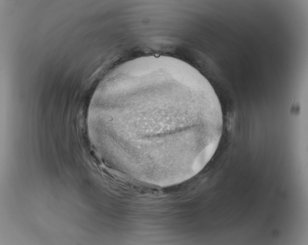 X0000113960915200910232025