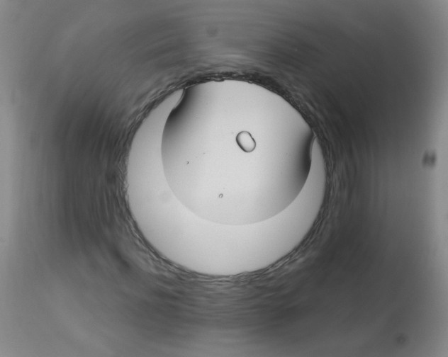 X0000113960916200910232025