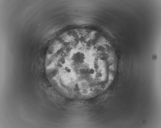 X0000113960917200910232025