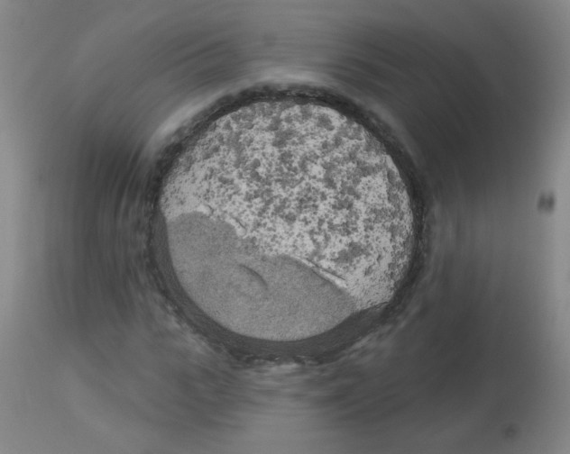 X0000113960919200910232025